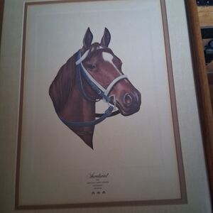 Derby Winner Triple Crown Winner Thoroughbred Horse Print Secretariat Lithograph
